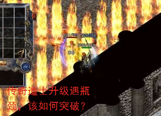 ʿƿͻƣ