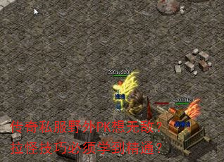 ˽ҰPK޵Уּɱѧͨ