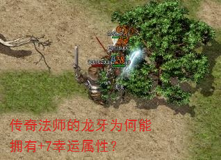 淨ʦΪӵ+7ԣ