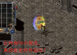 ڴPKɱܸ