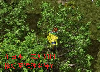 ʥʦ˲ȫ