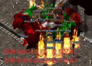 õ̽գûֵܣܻ߳Ƭ׹