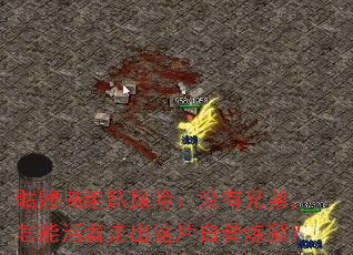 õ̽գûֵܣܻ߳Ƭ׹