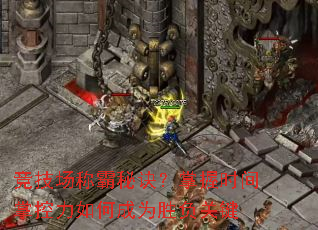 ưؾʱƿγΪʤؼ