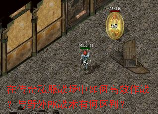 ڴ˽սθЧսҰPKսк