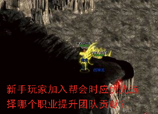 ҼʱӦѡĸְҵŶӹף