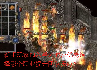 ҼʱӦѡĸְҵŶӹף