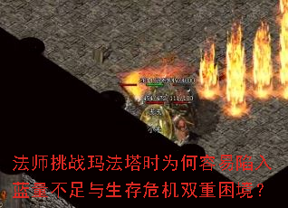 ʦս귨ʱΪΣ˫