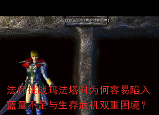 ʦս귨ʱΪΣ˫