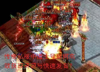 ˽еʿθЧȡԴٷ
