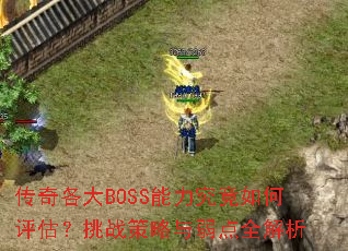 BOSSսȫ