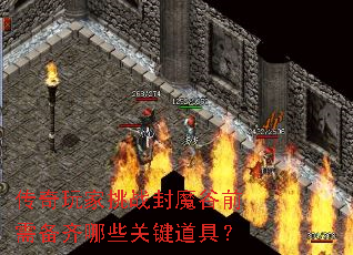սħǰ豸Щؼߣ