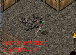 淨ʦӦϰЩܣ