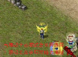 ߱սʿѡ񣿶װȡԴ