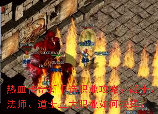 Ѫѡְҵԣսʿʦʿְҵξ
