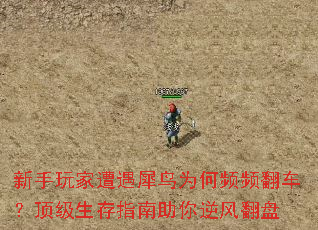新手玩家遭遇犀鸟为何频频翻车?顶级生存指南助你逆风翻盘 新手玩家遭遇犀鸟为何频频翻车?顶级生存指南助你逆风翻盘