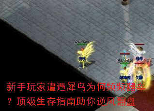 ϬΪƵƵָ緭