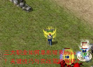 ְҵεˢӢbossؼʵսԽ