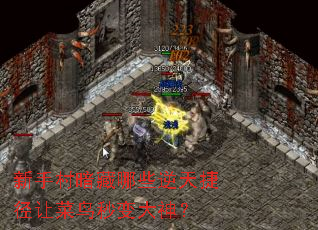 新手村暗藏哪些逆天捷径让菜鸟秒变大神? 新手村暗藏哪些逆天捷径让菜鸟秒变大神?