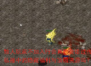 散人玩家不加入行会真的会错过传奇私服中的隐藏福利与顶级资源吗? 散人玩家不加入行会真的会错过传奇私服中的隐藏福利与顶级资源吗?