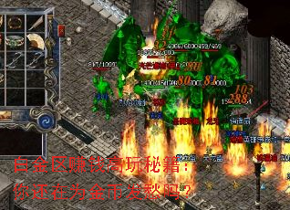 白金区赚钱高玩秘籍:你还在为金币发愁吗? 白金区赚钱高玩秘籍:你还在为金币发愁吗?