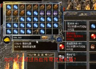 如何快速通过热血传奇宫殿长廊? 如何快速通过热血传奇宫殿长廊?