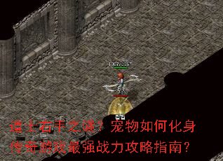 道士右手之谜?宠物如何化身传奇游戏最强战力攻略指南? 道士右手之谜?宠物如何化身传奇游戏最强战力攻略指南?