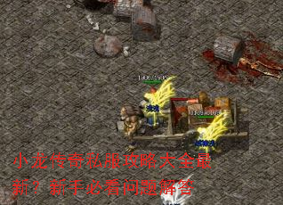小龙传奇私服攻略大全最新?新手必看问题解答 小龙传奇私服攻略大全最新?新手必看问题解答