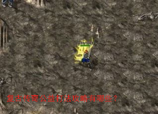 复古传奇公益打法攻略有哪些? 复古传奇公益打法攻略有哪些?