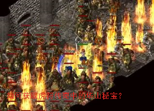 如何获取虎符传奇中的华山秘宝? 如何获取虎符传奇中的华山秘宝?