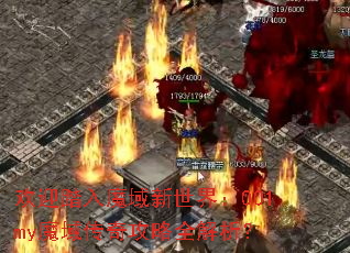 ӭ̤ħ磺001myħ湥ȫ