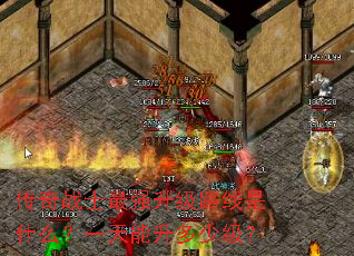 传奇战士最强升级路线是什么?一天能升多少级? 传奇战士最强升级路线是什么?一天能升多少级?