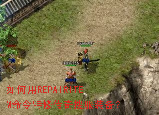 如何用REPAIRITEM命令特修传奇搜服装备? 如何用REPAIRITEM命令特修传奇搜服装备?
