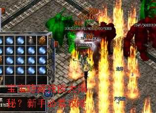 宝宝隐藏技能大揭秘?新手必看攻略 宝宝隐藏技能大揭秘?新手必看攻略