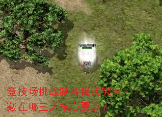 竞技场挑战制胜秘诀究竟藏在哪三大核心要点? 竞技场挑战制胜秘诀究竟藏在哪三大核心要点?