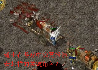 道士在游戏中究竟扮演着怎样的关键角色? 道士在游戏中究竟扮演着怎样的关键角色?