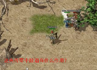 迷失传奇中酿酒有什么作用? 迷失传奇中酿酒有什么作用?