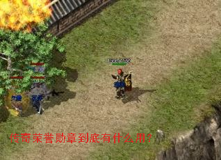 传奇荣誉勋章到底有什么用? 传奇荣誉勋章到底有什么用?