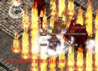 ��������ѫ�µ�����ʲô�ã�