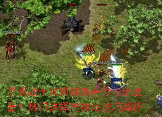 平民战士如何挑选高性价比武器?热门选择与实战技巧解析 平民战士如何挑选高性价比武器?热门选择与实战技巧解析