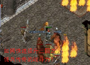 ��ο�����������֮Ӷ�������ս������