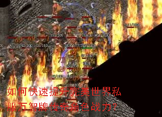 ��ο���������������˽�������ƴ����ɫս����