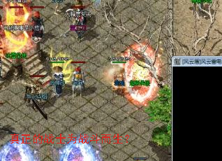 真正的战士为战斗而生? 真正的战士为战斗而生?