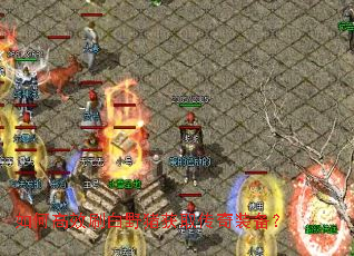 ��θ�Чˢ��Ұ����ȡ����װ����