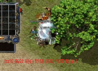 ��θ�Чˢ��Ұ����ȡ����װ����