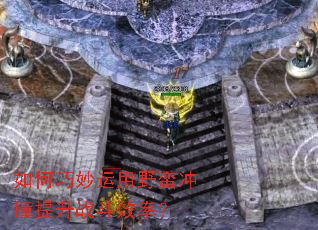 �����������Ұ����ײ����ս��Ч�ʣ�