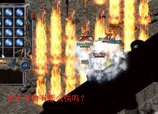 ��ʿ�������ôǿ��