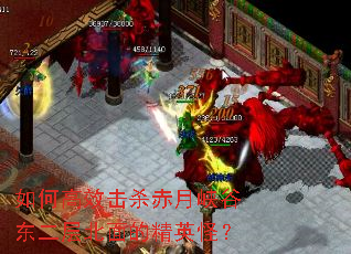 ��θ�Ч��ɱ����Ͽ�ȶ����㱱��ľ�Ӣ�֣�