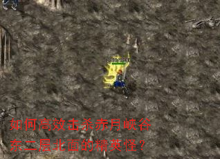 ��θ�Ч��ɱ����Ͽ�ȶ����㱱��ľ�Ӣ�֣�