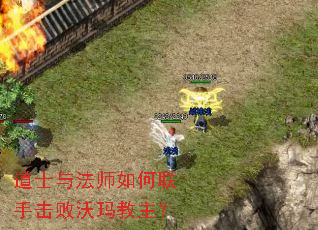 ��ʿ�뷨ʦ������ֻ������������